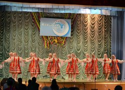 Регіональний етап Всеукраїнського фестивалю "Софіївські зорі"